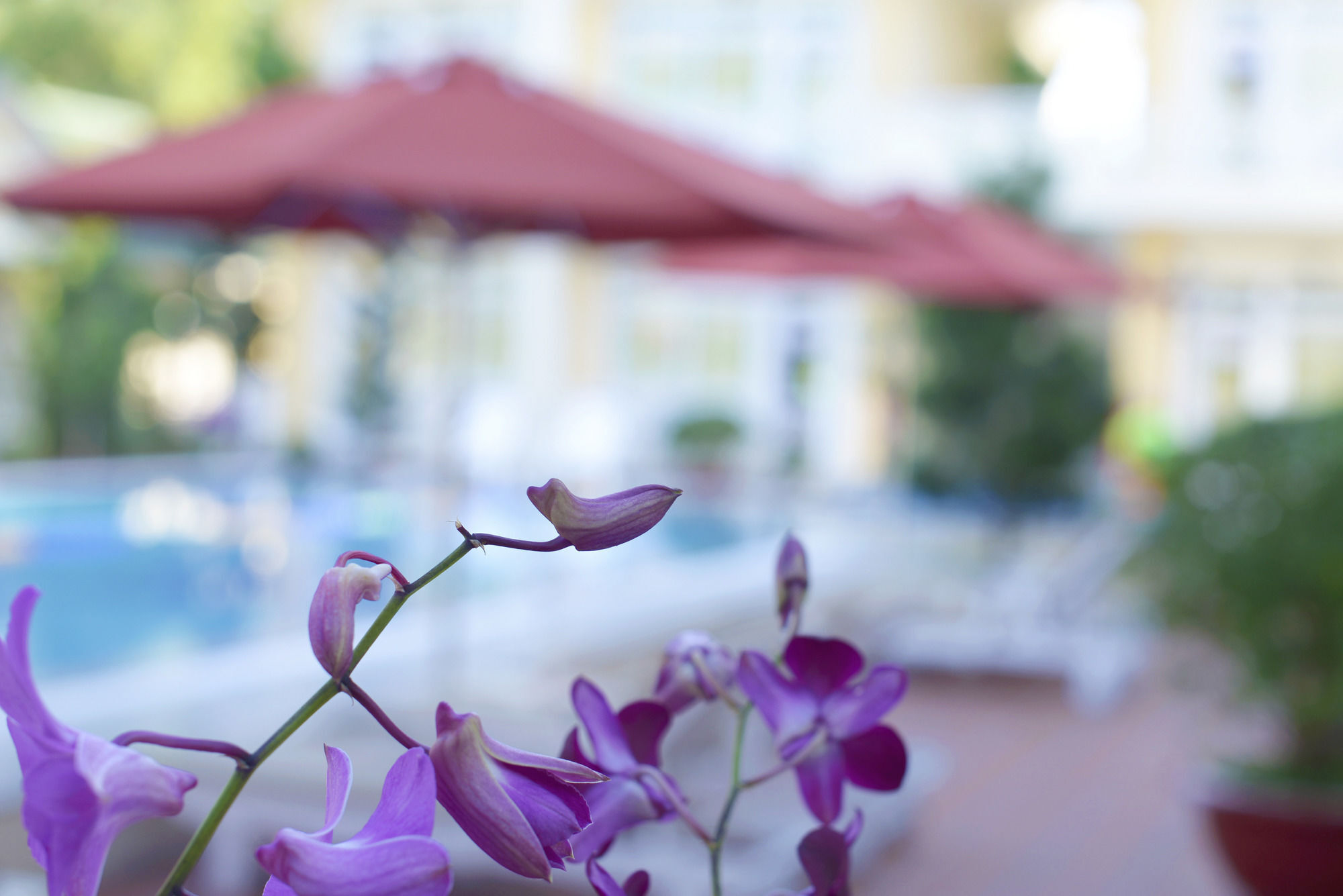 Lam Ha Resort Που Κουόκ Εξωτερικό φωτογραφία